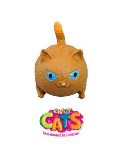 Crazy Cats: Scheggia