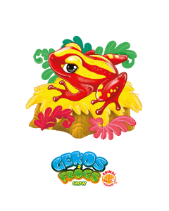 Gekos & Frogs: Rana Dardo dal veleno fantasma