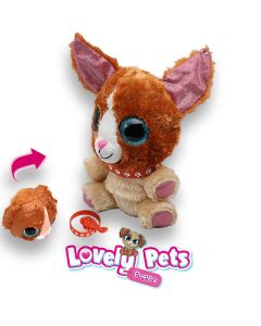 lovely Pets Puppy: Corgi
