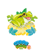 Gekos & Frogs: Raganella