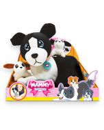 Mammy Surprise Big Version: Cane Border Collie 34x25 cm
