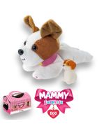 Mammy Surprise Dog New Edition: Jack Russel