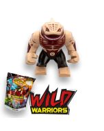 Wild Warriors: San Specterd + 3 cards
