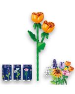 Flower Fusion Rose Chinensis - Altezza 27 cm | 100 pezzi